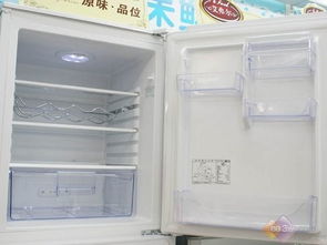 经济实惠性能高 3000元实用型冰箱导购